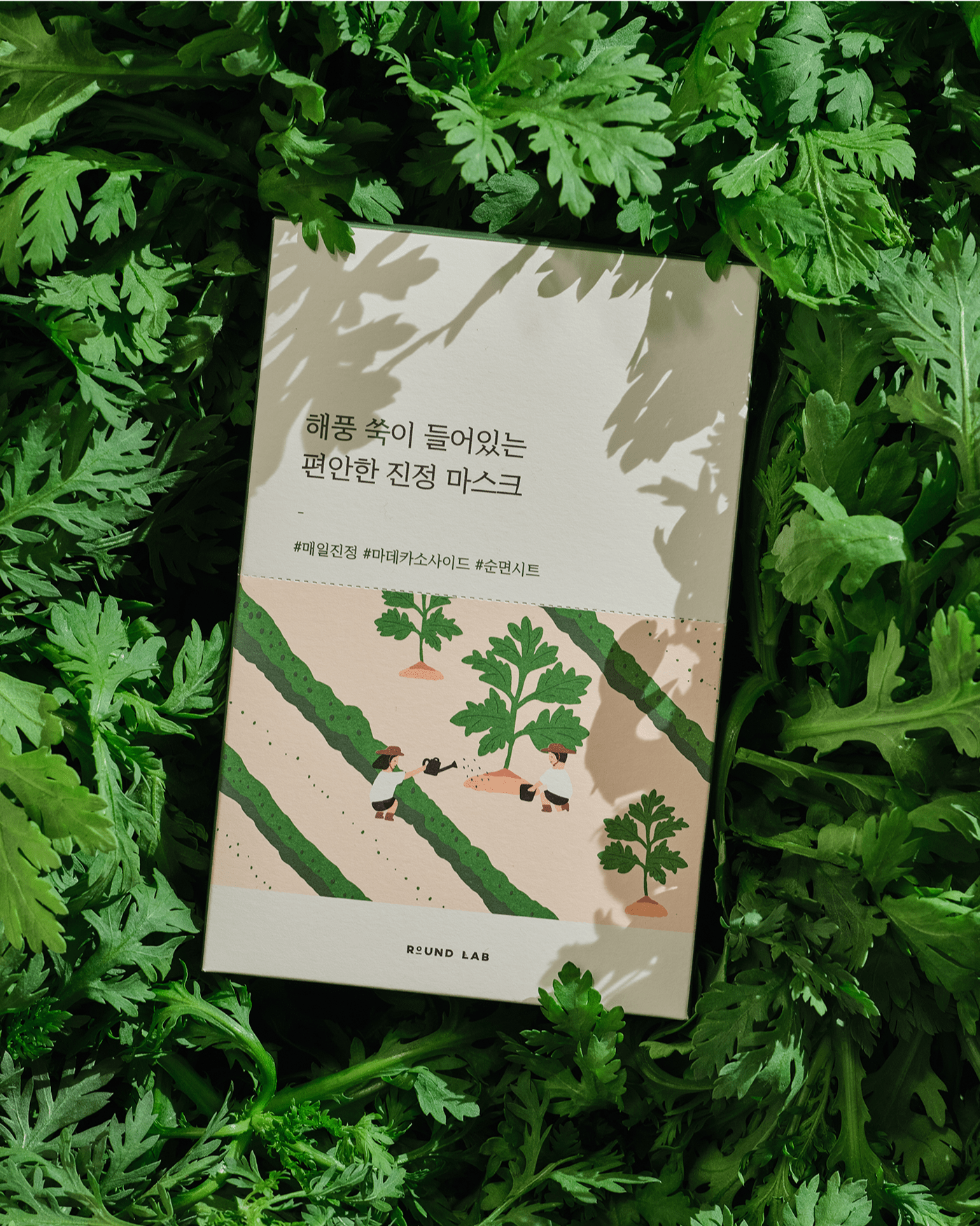 Mugwort Calming Sheet Mask (10 Pack) Sheet Mask ROUND LAB