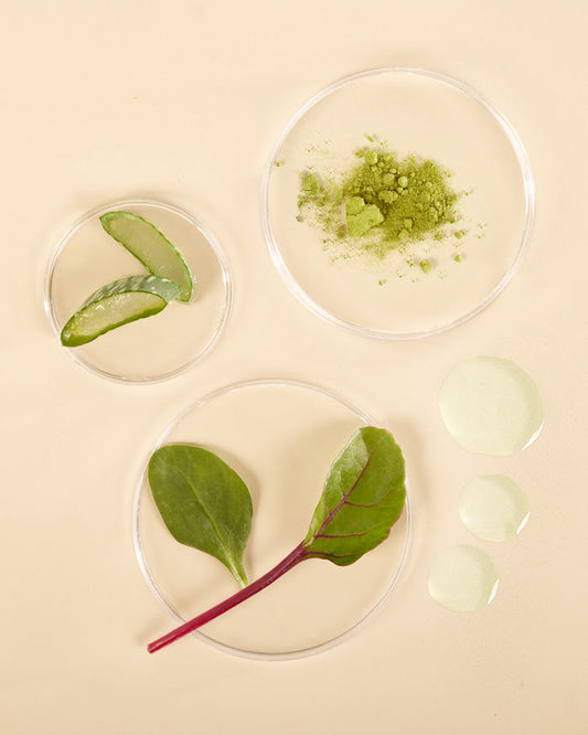 the klog Plant-Rich Antioxidant Pore Cleansing Oil