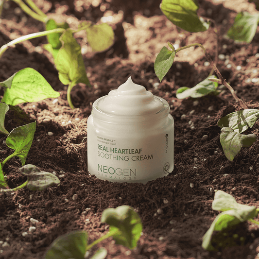 Neogen's Heartleaf Collection: Where Nature and Skincare Combine