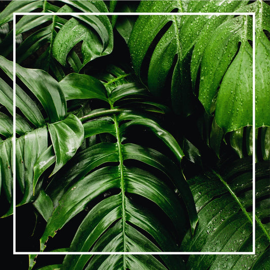 Experts Agree: A Lack of Fresh Air Can Seriously Irritate Your Skin