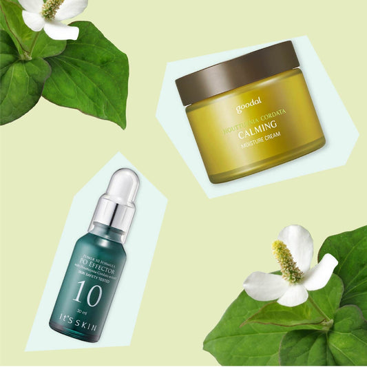 Ingredient Spotlight: Houttuynia Cordata, The Ultimate Balancing and Soothing Solution for Irritated Skin