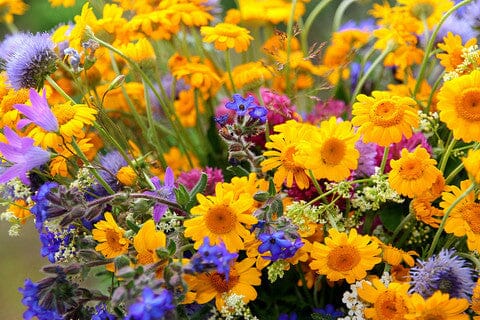 Skin Tip: Don’t Get Squeaky Clean