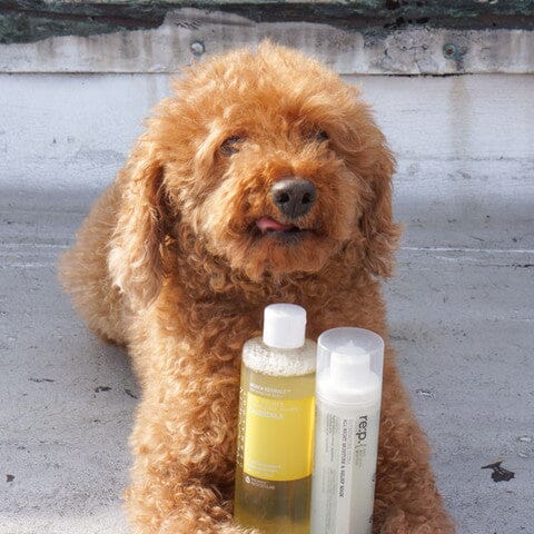 Everything You Need To Know About Cruelty Free Korean Beauty Products