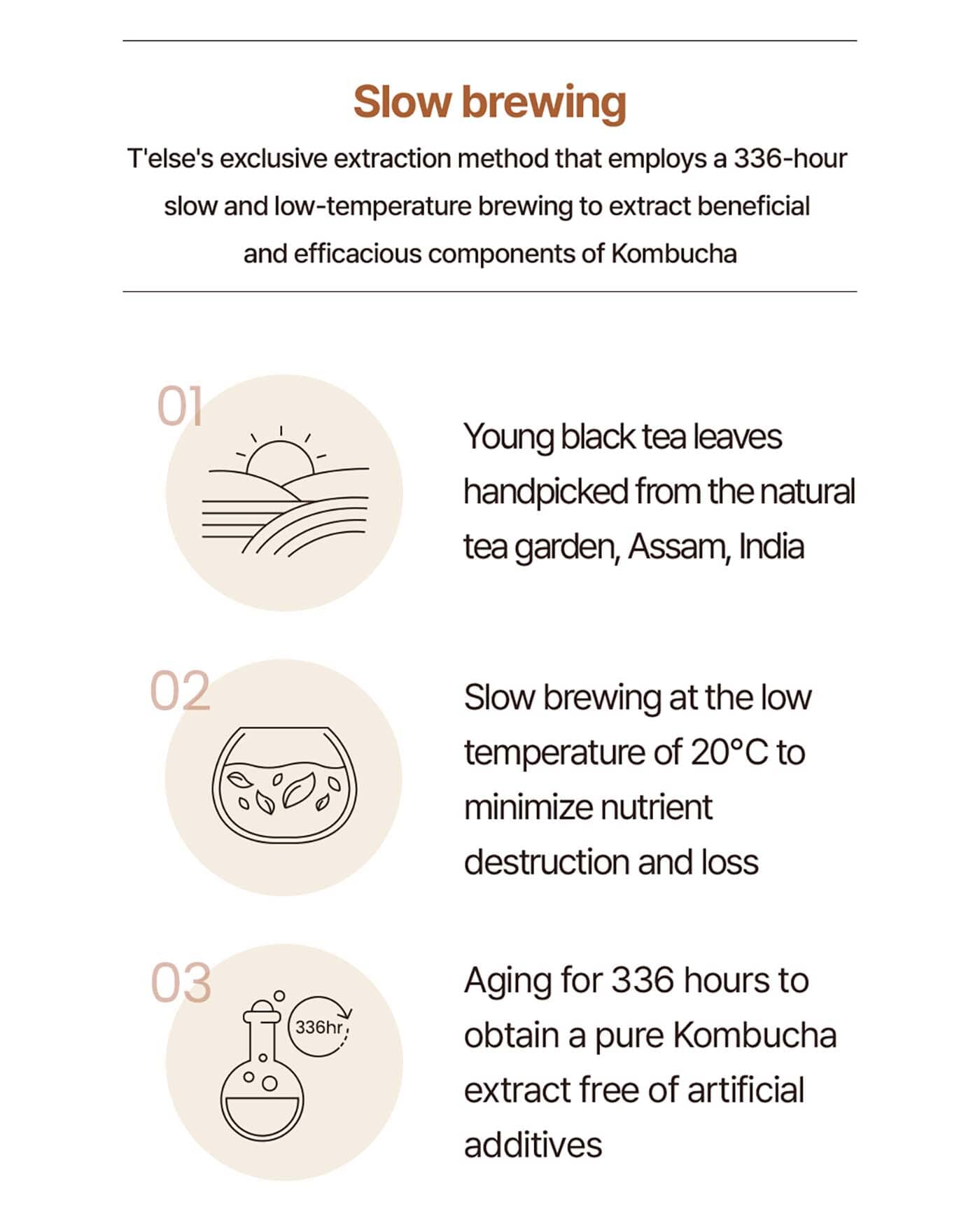 Kombucha Hydro Glow Cream