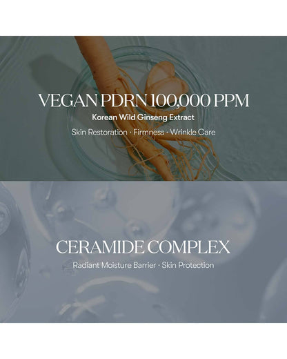 VT PDRN Essence 100 Essence VT COSMETICS 