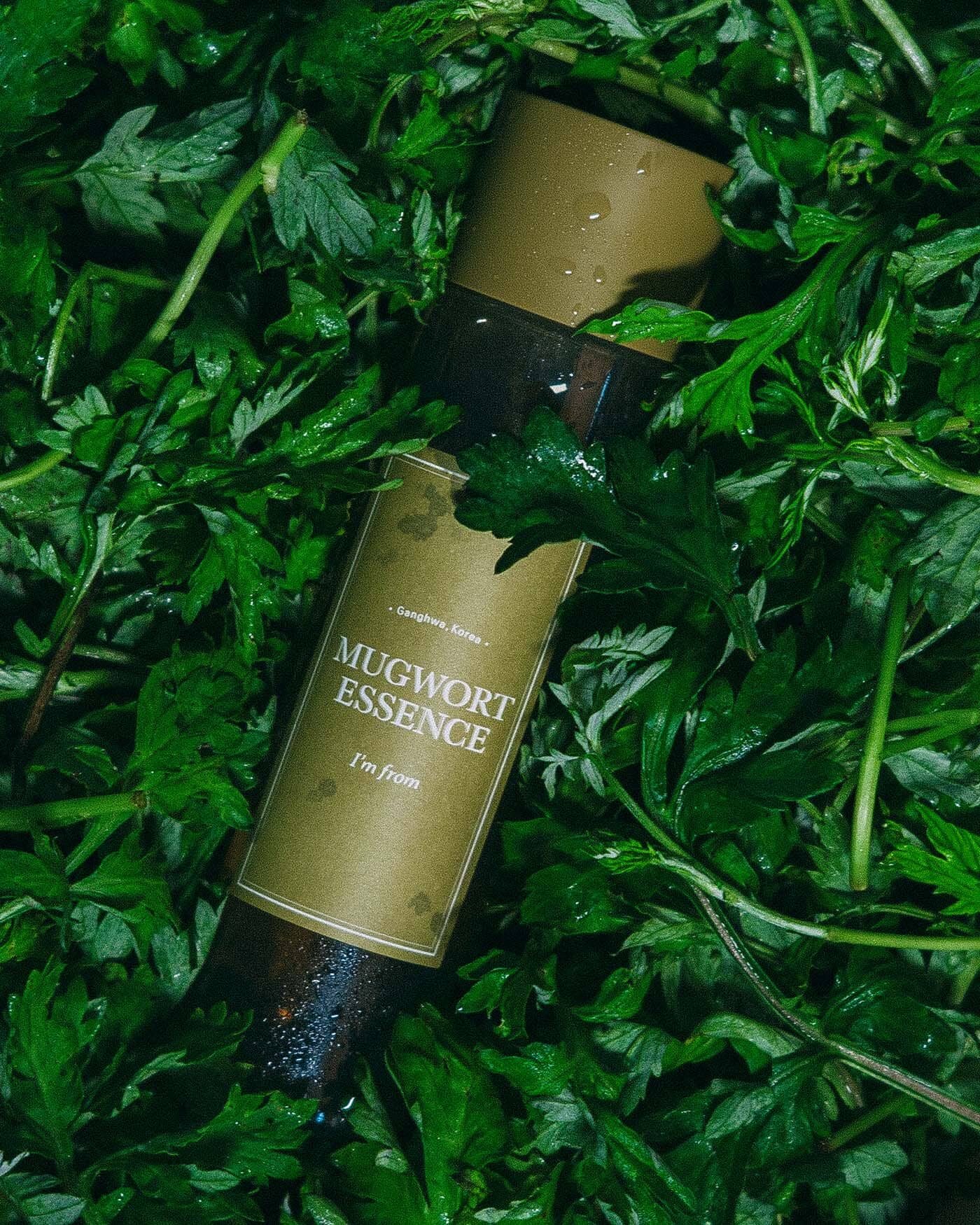 I'm From Mugwort Essence | Soko Glam