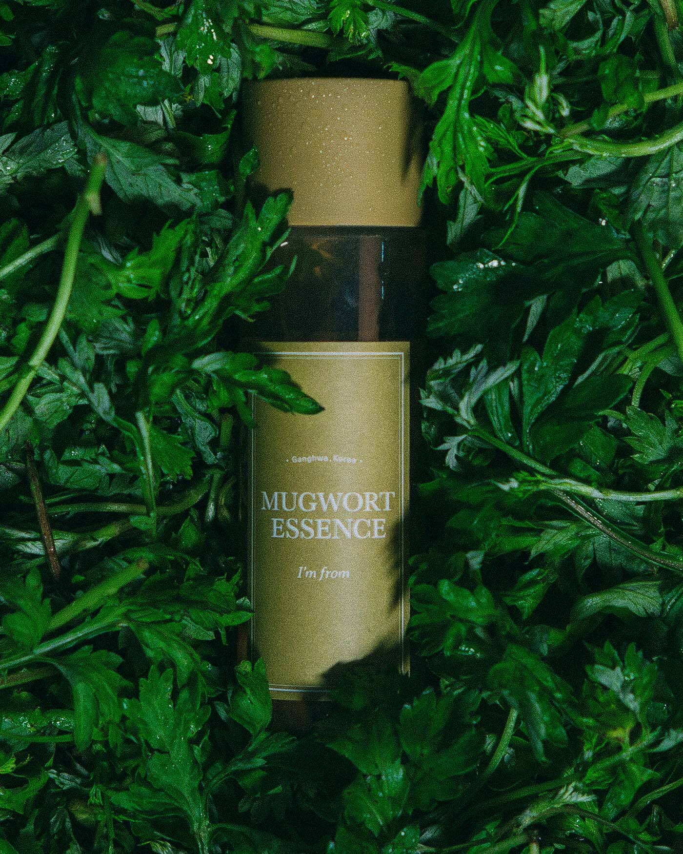 I'm From Mugwort Essence | Soko Glam