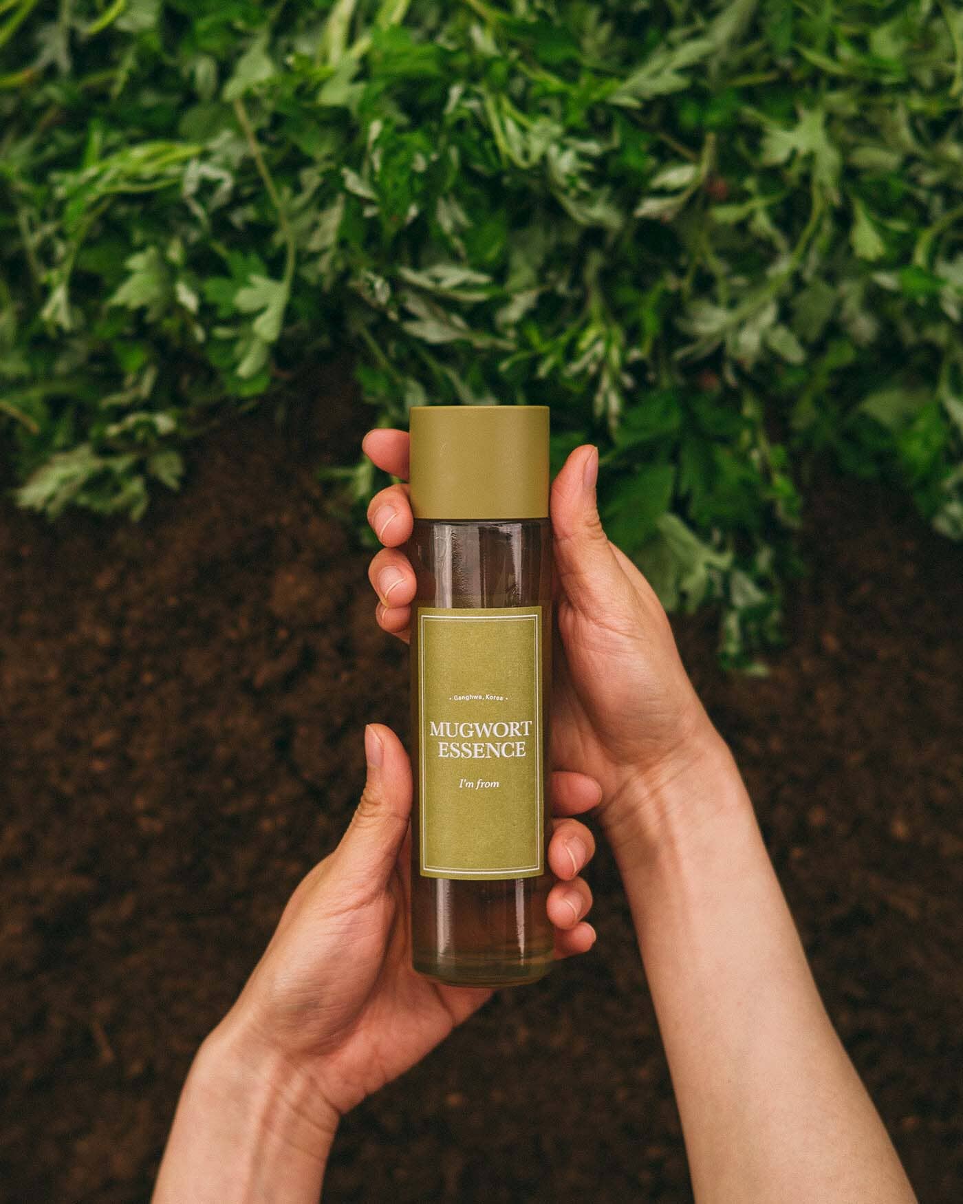 I'm From Mugwort Essence | Soko Glam