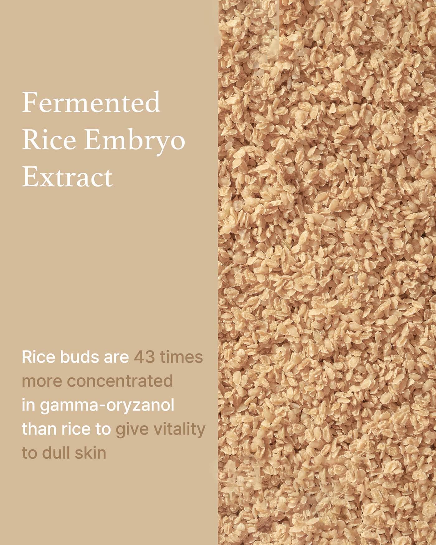 Rice Serum