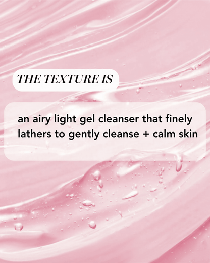 Acai Berry + Oats Antioxidant Gel Cleanser Water Cleanser SATURDAY SKIN 