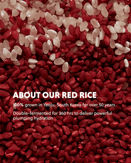Red Rice Hydrating Cream Facial Moisturizer Hanyul 
