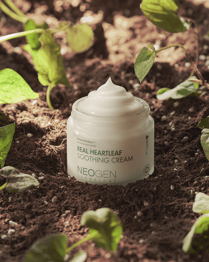 Neogen Dermalogy Real Heartleaf Soothing Cream | Soko Glam Neogen Dermalogy Real Heartleaf Soothing Cream | Soko Glam