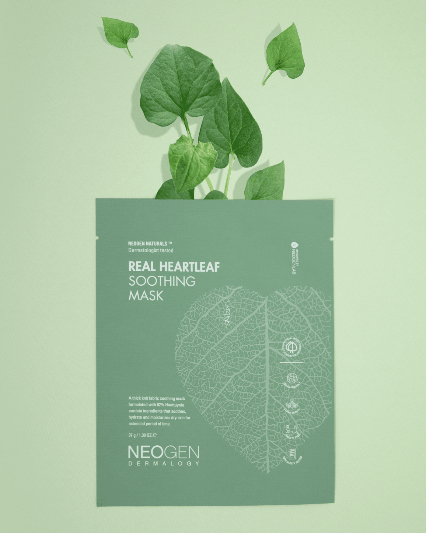 Real Heartleaf Soothing Mask