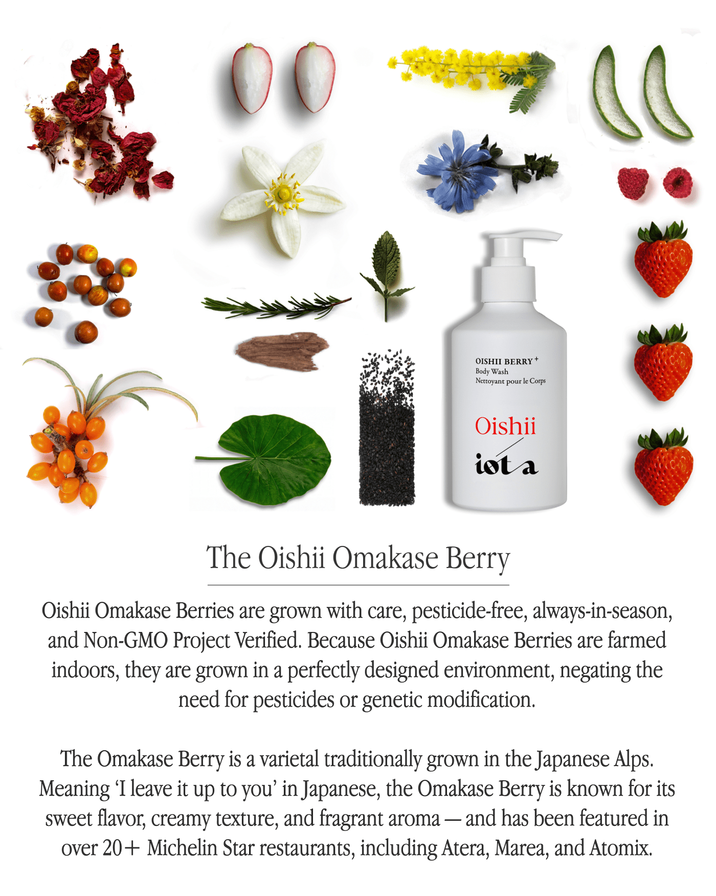 Oishii Berry Body Wash+ Body iota 