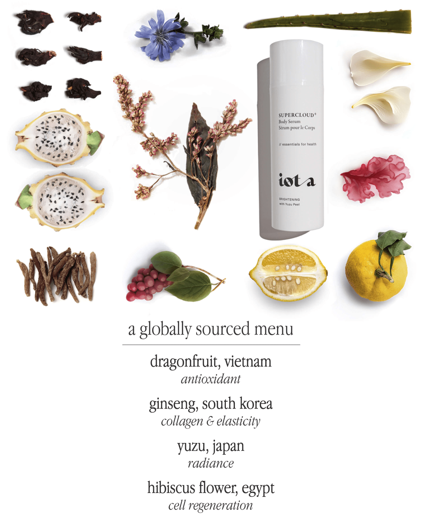 Supercloud Body Serum+ Body iota 