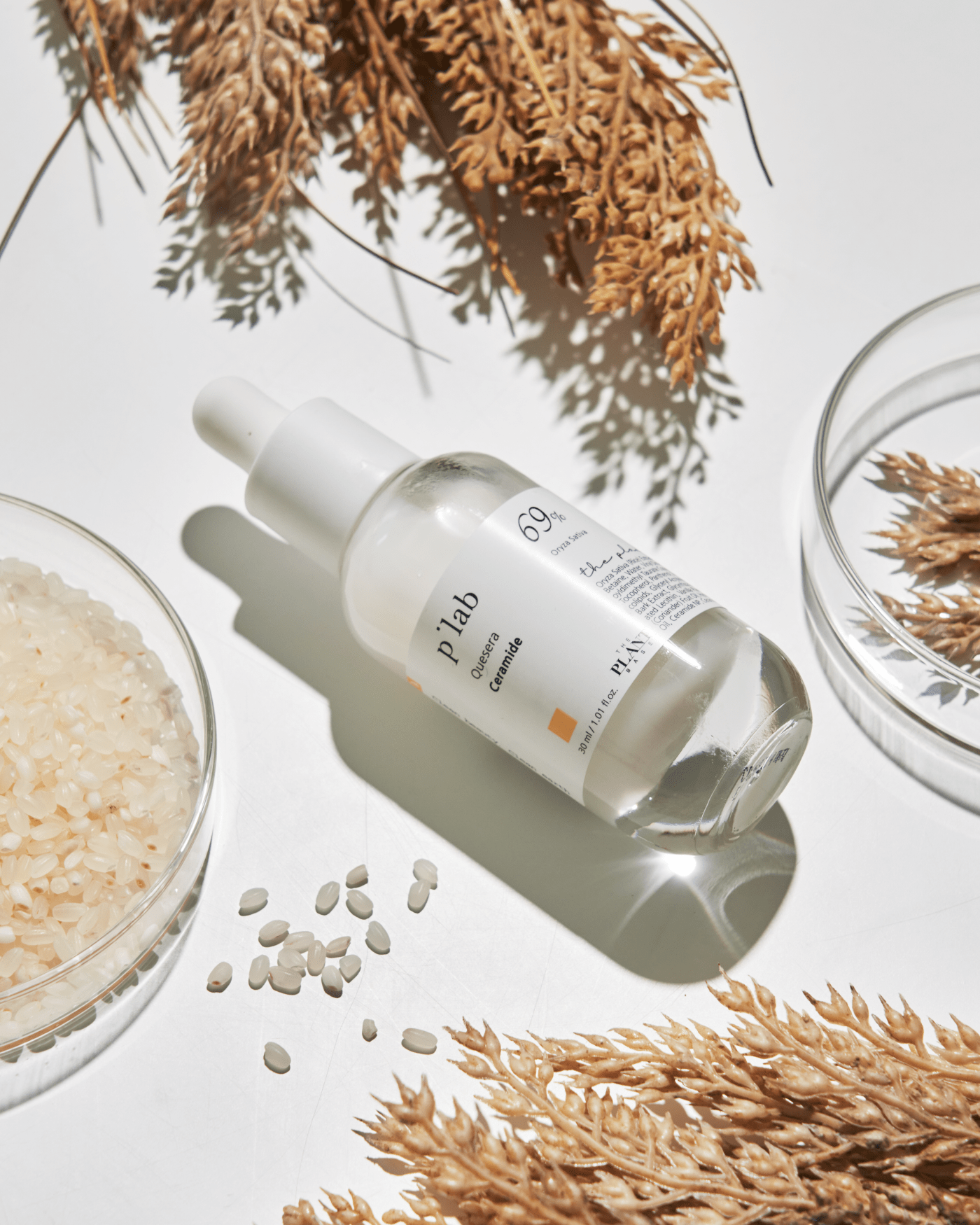 Quesera Ceramide Ampoule THE PLANT BASE 