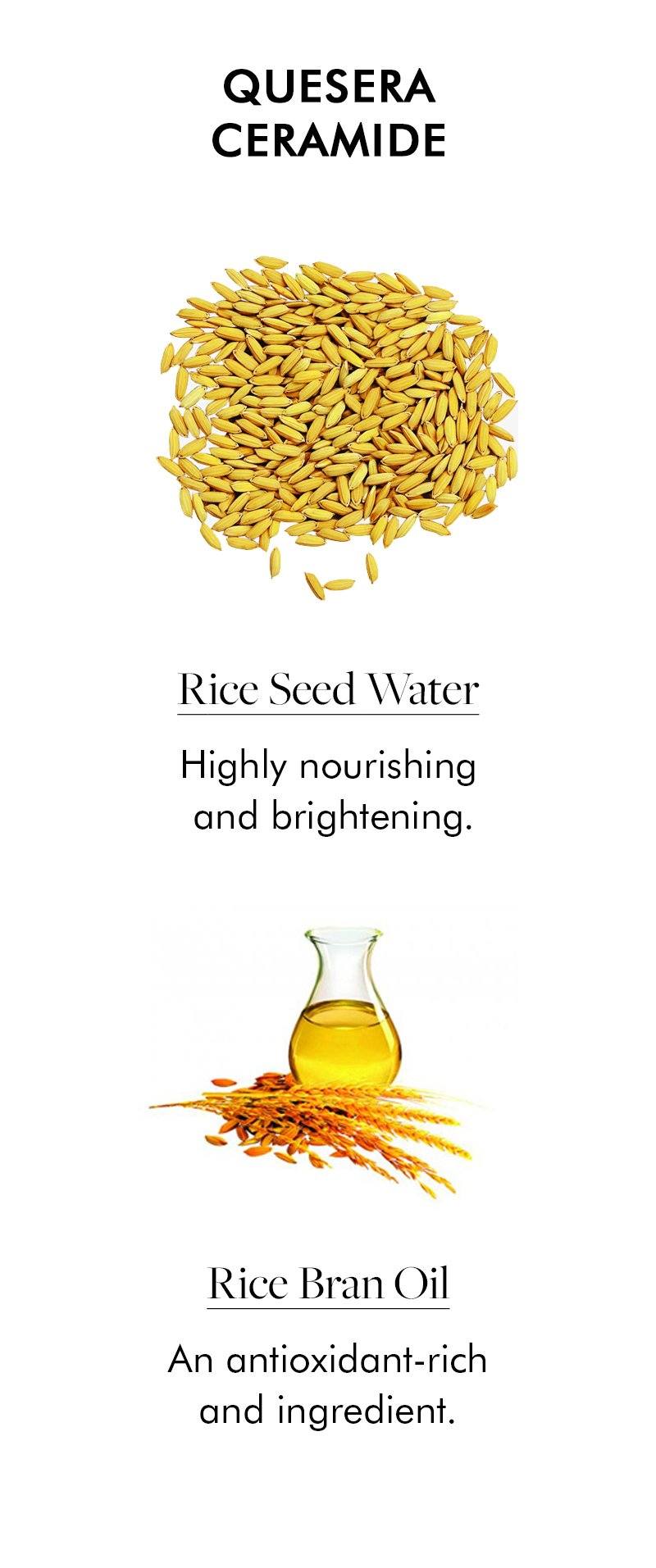 quesera ceramide - rice seed water and rice bran oil